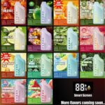 EXEEK PLUS 12000 PUFF