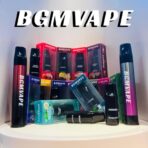BGM MODEL Y SINGLE POD - Image 2