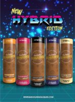 BANGSAWAN HYBRID SALT 10ML - Image 3