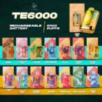 ELFBAR TE 6000 PUFF DISPOSABLE