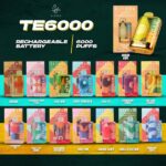 ELFBAR TE 6000 PUFF DISPOSABLE