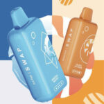 Elf Bar Swap Pod 25000 Puffs