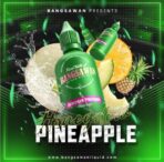 Bangswana Freebase 65ml - Image 2